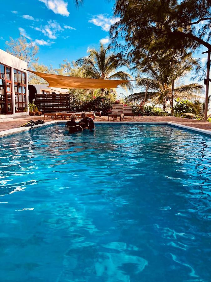 Liquid Dive Adventures Bed & Breakfast Praia do Praia do Tofo Екстериор снимка
