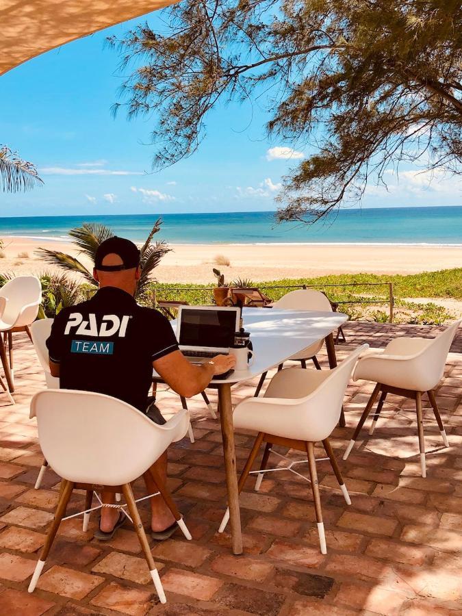 Liquid Dive Adventures Bed & Breakfast Praia do Praia do Tofo Екстериор снимка