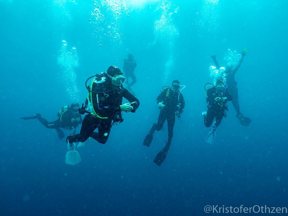 Liquid Dive Adventures Bed & Breakfast Praia do Praia do Tofo Екстериор снимка