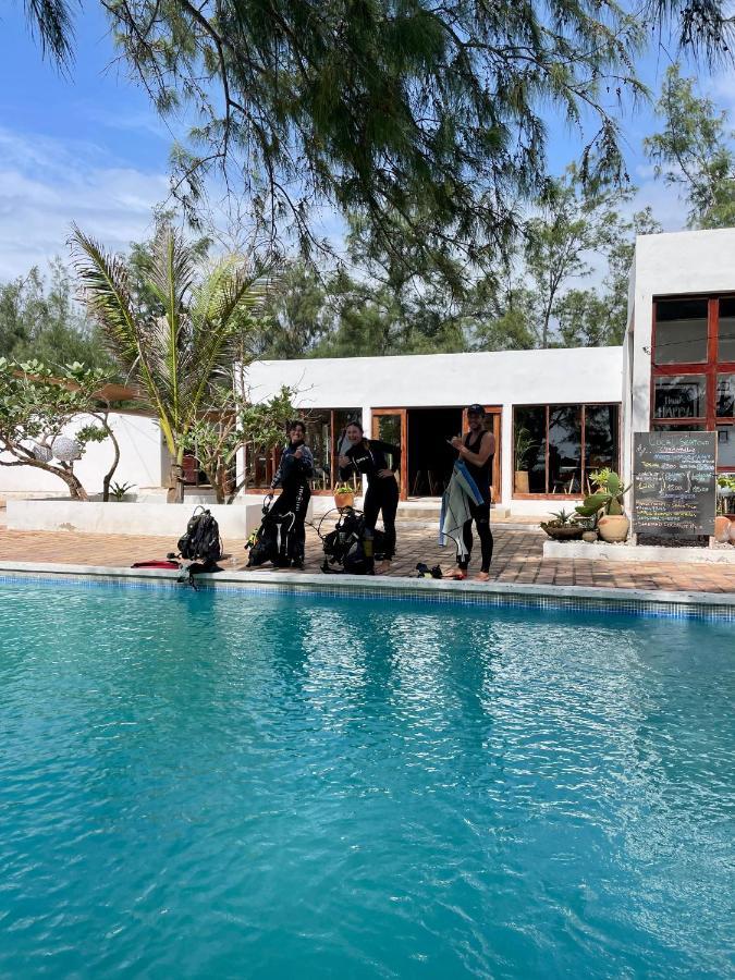 Liquid Dive Adventures Bed & Breakfast Praia do Praia do Tofo Екстериор снимка