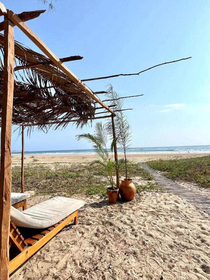 Liquid Dive Adventures Bed & Breakfast Praia do Praia do Tofo Екстериор снимка