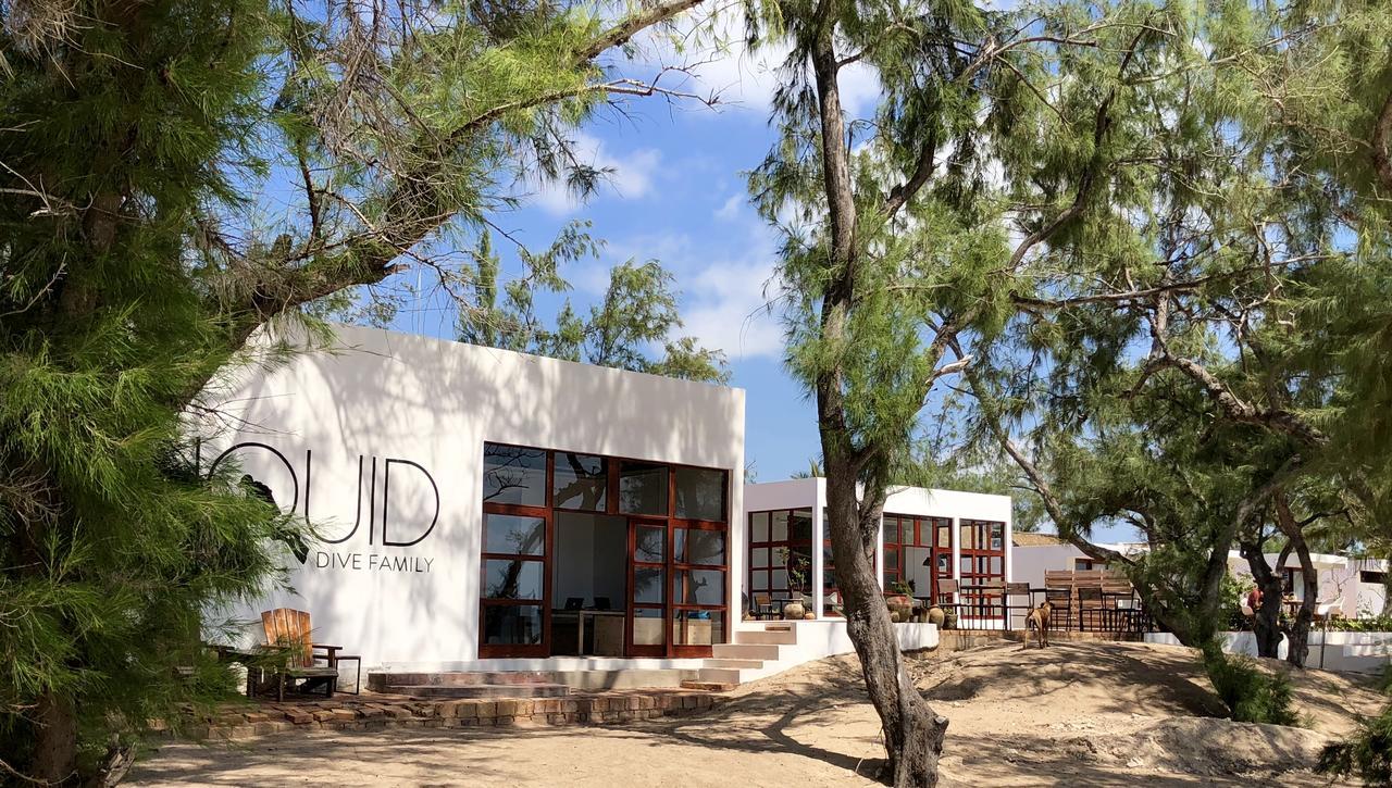 Liquid Dive Adventures Bed & Breakfast Praia do Praia do Tofo Екстериор снимка